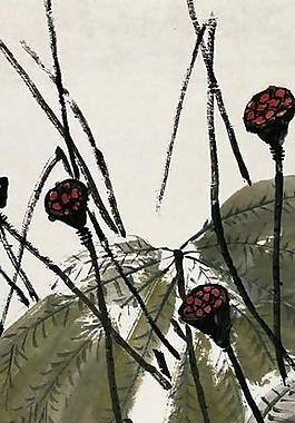 荷塘圖片