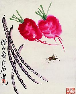 蘿卜圖片