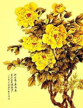牡丹图图片