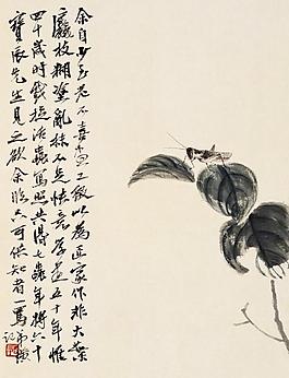 螞蚱圖片