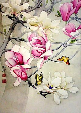 玉兰花香蝶飞舞图片