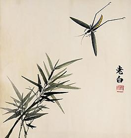 老白圖片