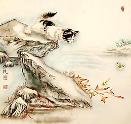 貓趣圖片
