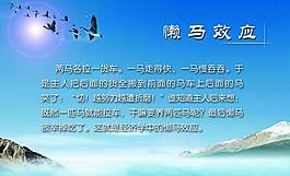 懒马效应展板图片