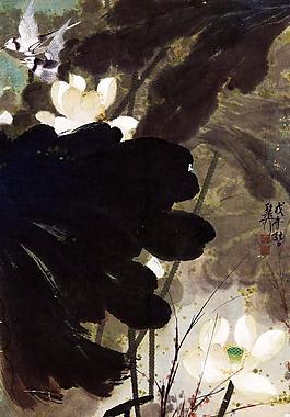 荷鳥圖片