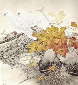 二只白鳥圖片