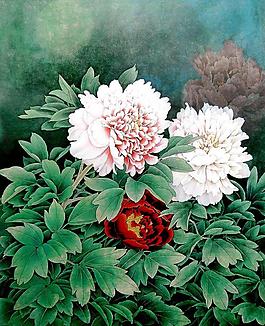 月夜香自芳圖片
