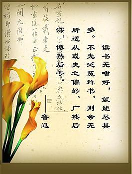 學(xué)校展板圖片