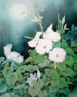 月光花圖片