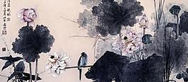 清夏晚風涼圖片