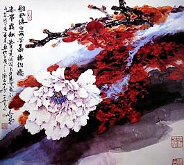 牡丹图图片