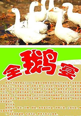 全鵝宴展板圖片