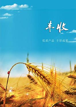 文化展板圖片