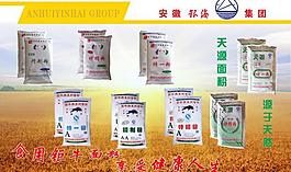 面粉 展板圖片