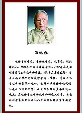 學(xué)校展板圖片