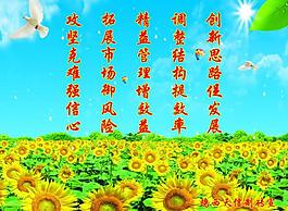 清新 展板圖片