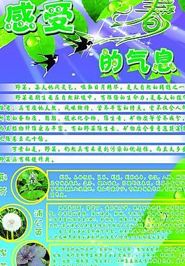 春天展板圖片