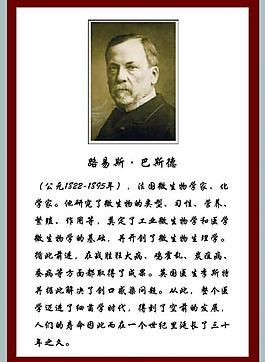 学校展板图片