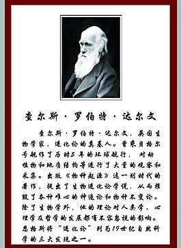 學(xué)校展板圖片
