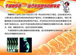 医院展板图片