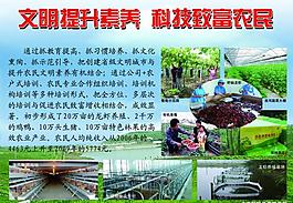 農業展板圖片