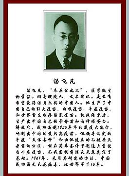 學(xué)校展板圖片