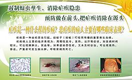 瘧疾展板圖片