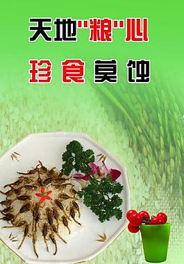 食堂展板圖片