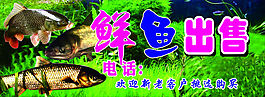 魚出售廣告布