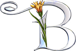 花藤字母-B