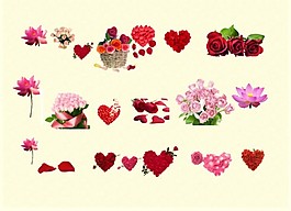 玫瑰花