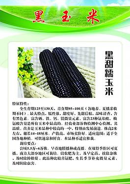 農作物展板圖片