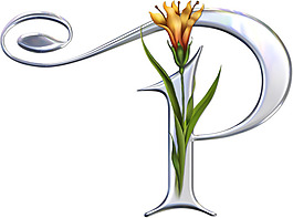 花藤字母-p