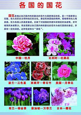 學校展板圖片