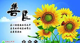 学校展板图片