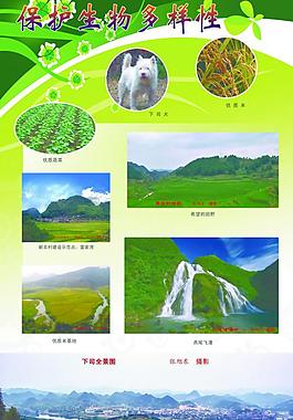環(huán)保展板圖片