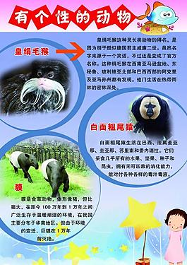 學(xué)校展板圖片