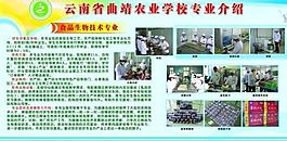 学校展板图片