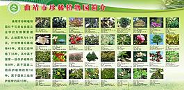學(xué)校展板圖片