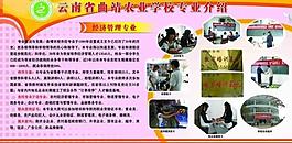 學(xué)校展板圖片
