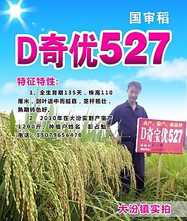 種子 展板圖片