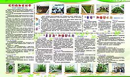 植物園展板圖片