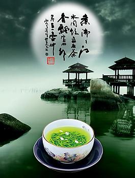 茶葉展板圖片