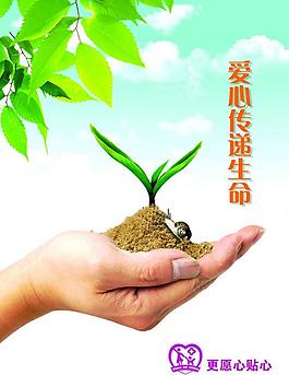 愛心展板圖片