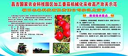 番茄加工展板圖片