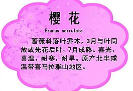異形展板圖片