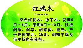 異形展板圖片