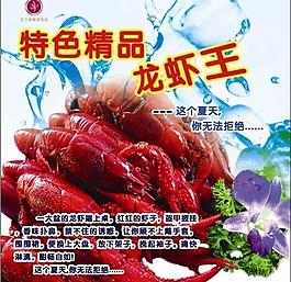 龍蝦 展板圖片