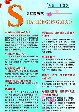 沙棘展板图片