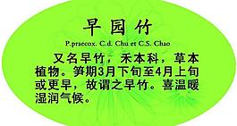 異形展板圖片